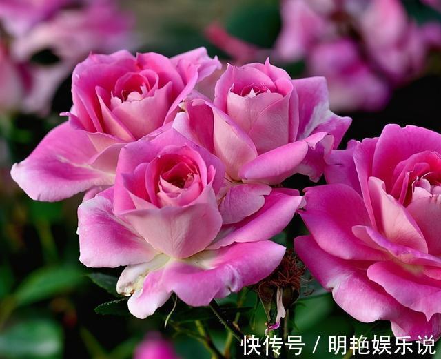 阳台|四川发现一户人家阳台，真是有才了，百闻不如一见，拍给大家瞧瞧