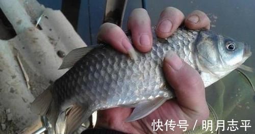 冬季野外钓鲫鱼,这3大原则值得遵循,让鲫鱼们争相上钩