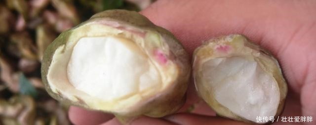 吃了这么多年,你真的懂荸荠吗