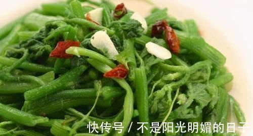 红背菜红背菜|爱美女性不妨多吃3种食物,营养丰富、滋润肌肤,身体棒棒哒!
