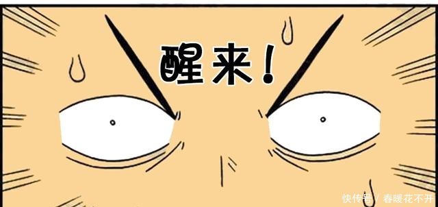 龙马|恶搞漫画梦到龙马猪三个动物