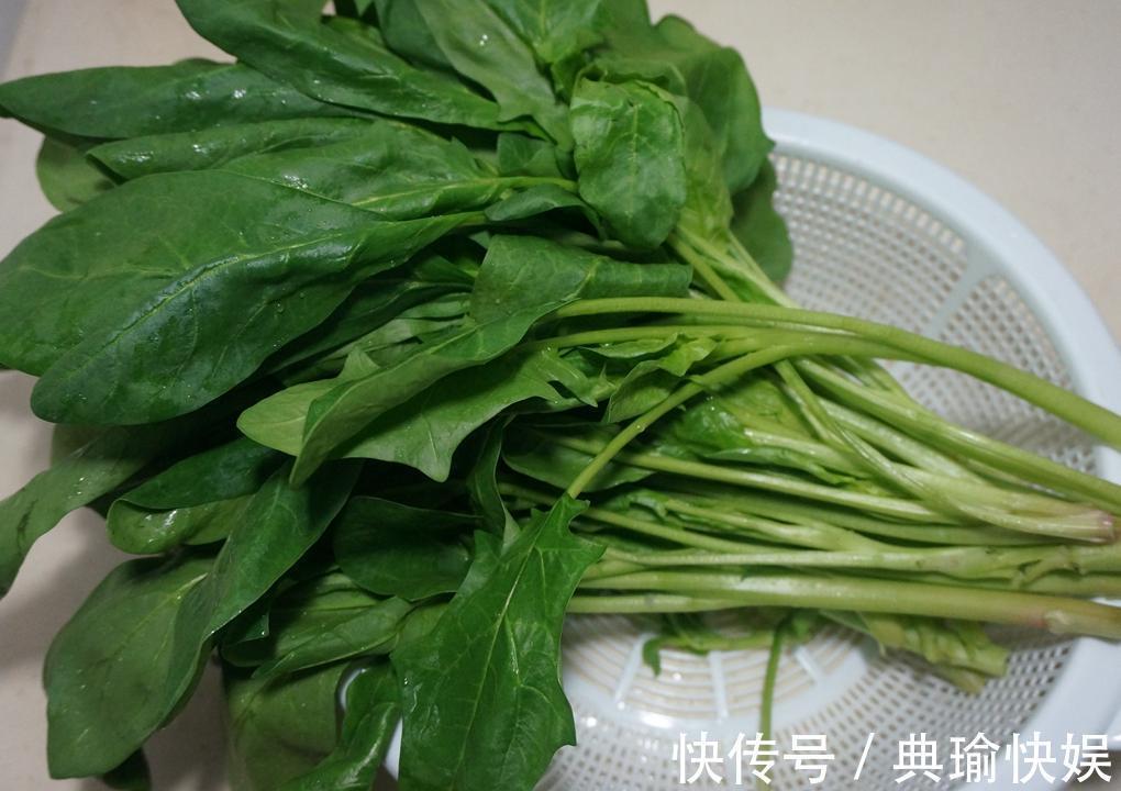 尖叶|买菠菜，要分清“尖叶”和“圆叶”，差别很大，买错不甜爽还涩口