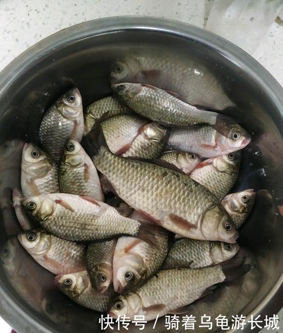 钓鱼人永不为奴,除非大物爆护!到底是你钓鱼还是鱼钓你