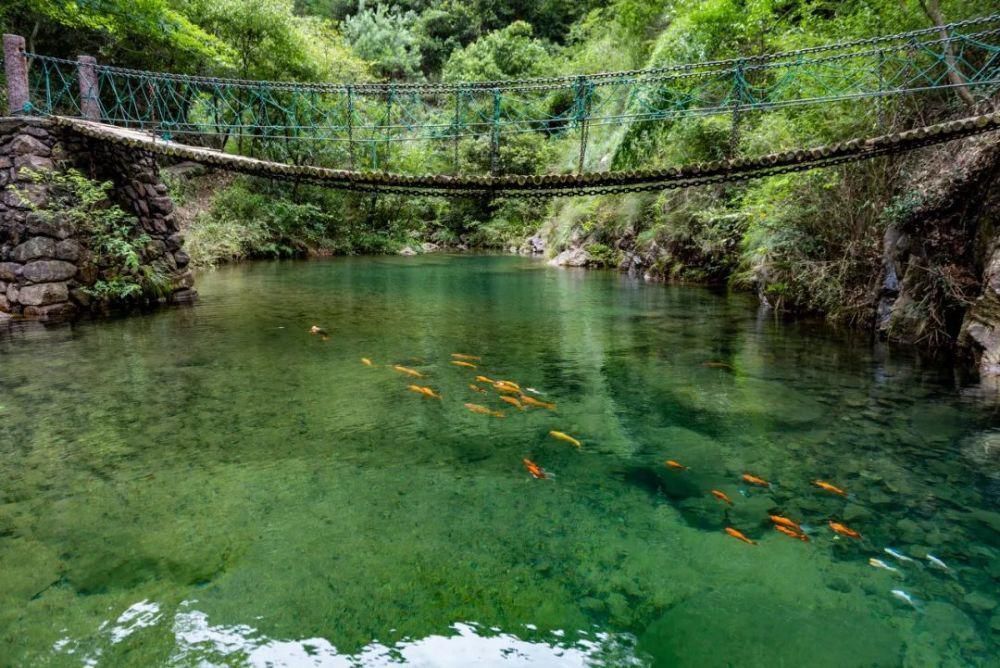 全球最佳旅行地出炉！它是中国唯一上榜的城市，比苏杭还安逸，美到窒息！