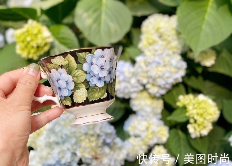 庭院改造:50㎡的下沉式庭院造花园,有地我也建一个,太好看了!