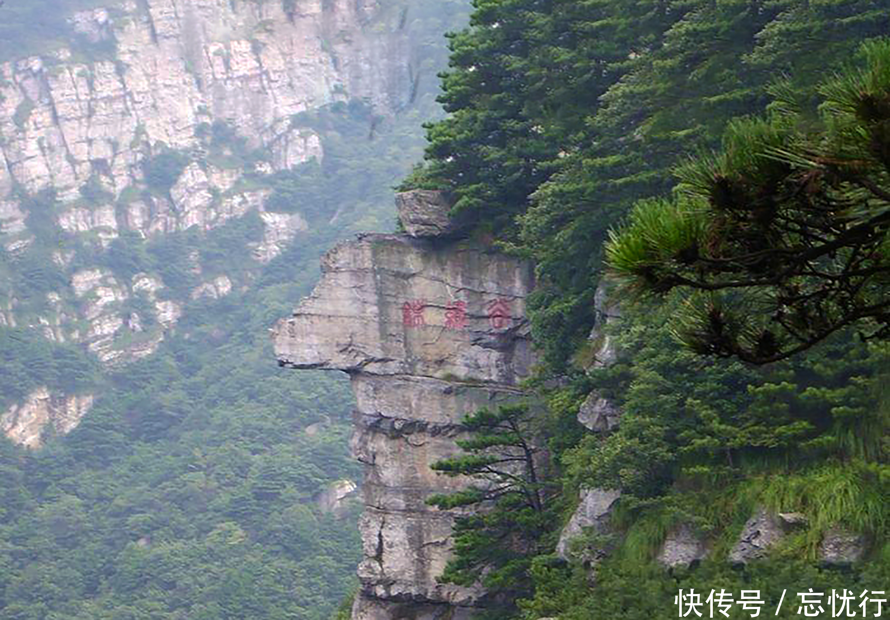 庐山|庐山谷深壑幽的峡谷，峰岭秀山奇石怪异，这里的美景确实值得一游