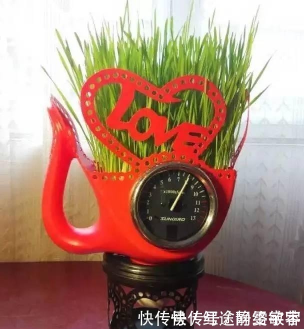 用完的洗衣液瓶千万别扔，它大有妙用！