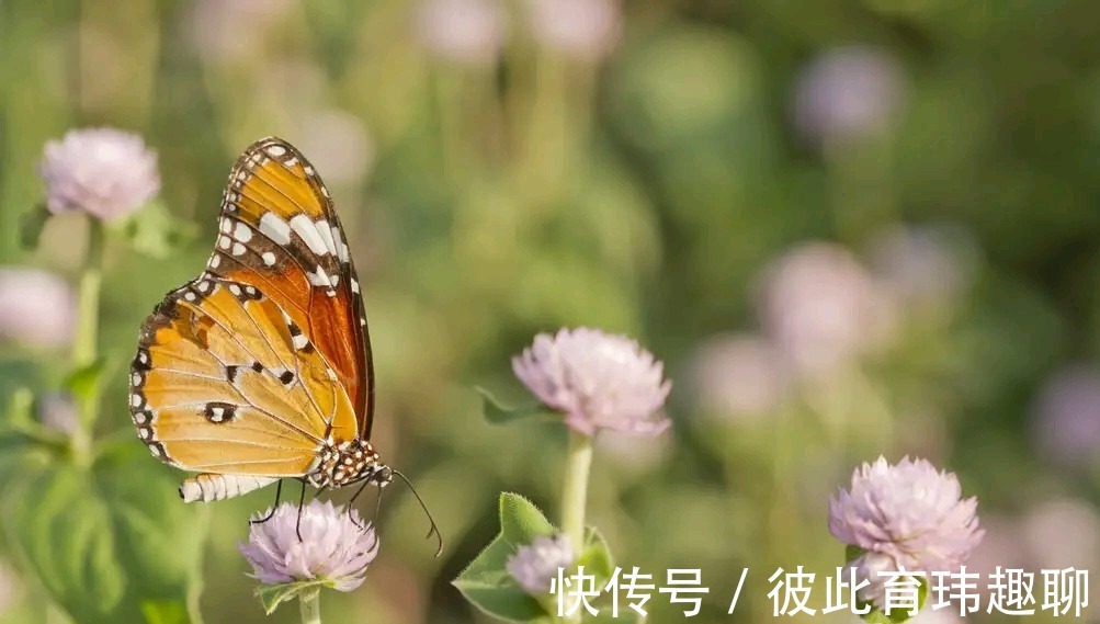 老伴|3个年过75岁的老人坦言:人到晚年,连死都不怕,唯独怕3件事