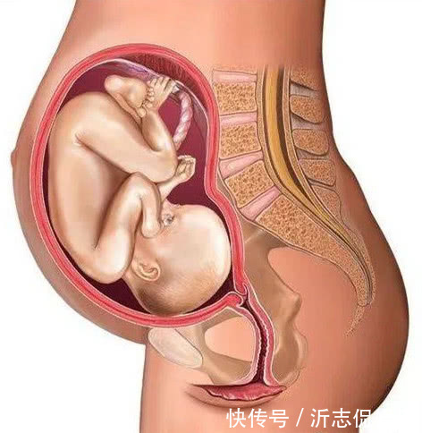 产妇|顺产到底有多“疼”看到第3张图,也许你会明白