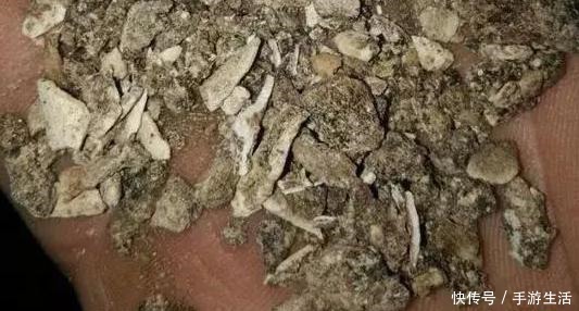 植物|养花需“氮磷钾肥”怎么办别再花钱买了,上厨房找找全都有了!