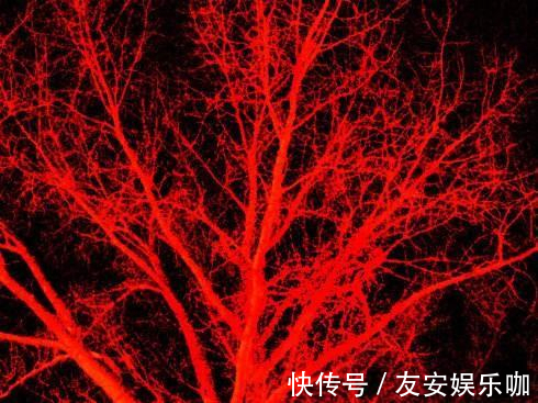 脑梗死|80岁老人,血管年龄仅有30岁!他的保养秘诀是什么?