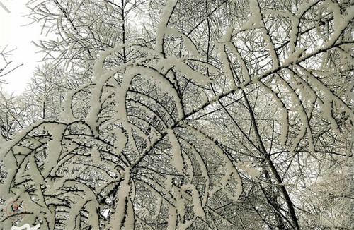 雪景|湖北超大的山地草场，318国道从景区穿过，冬天的雪景很漂亮