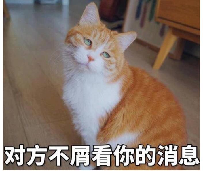 《导演请指教》首播：导演相国强遭大导“挑刺”，王晶李诚儒过分吗？