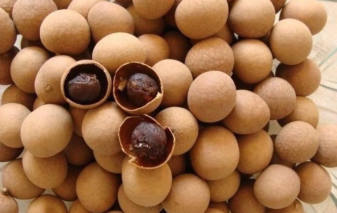 此物|桂圆和此物一起煮,气血足,睡眠好,皮肤白皙红润,子宫更光滑