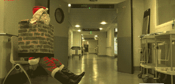 |搞笑GIF:别装了 我知道你就是故意的