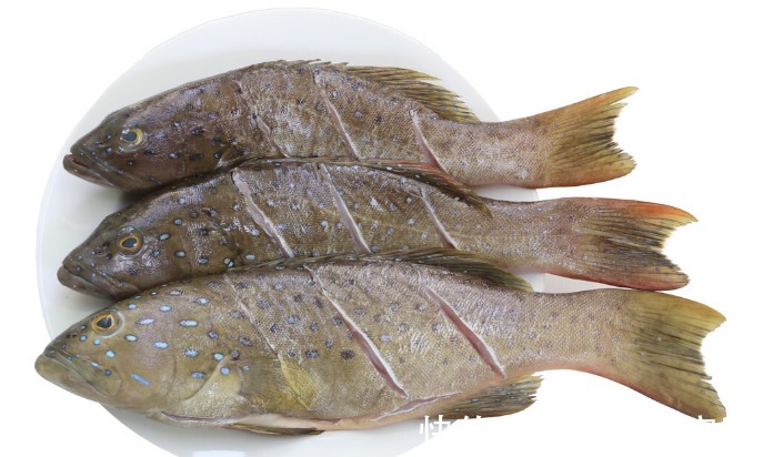 辅酶q10|心脏不好?或是缺乏这5种营养元素,建议要多吃粗粮多吃鱼等食物