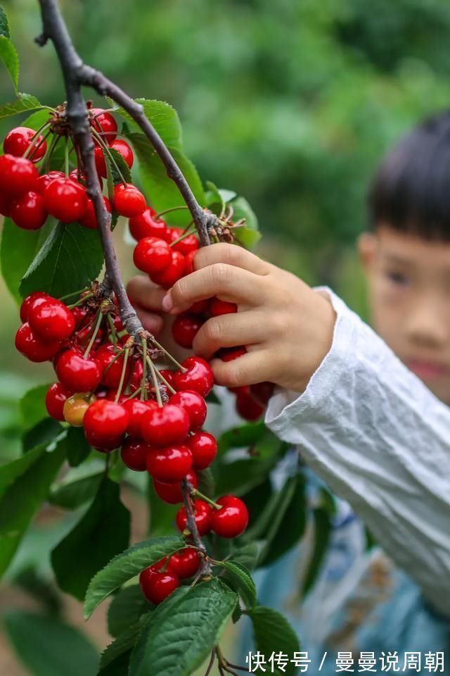 夏日|泉城夏日的“彩虹糖”里，竟然藏着你不知道的秘密……