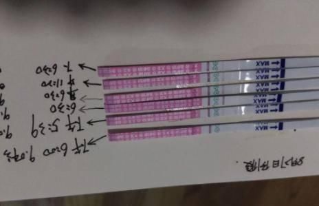 排卵期|要想成功受孕，找准排卵期是关键，月经后这一天别错过！