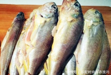 开海|开海了,遇到这鱼别错过,1斤8块钱,下锅炖一炖,鲜香嫩营养高