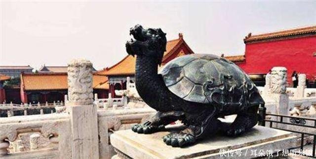 作册般|70岁农民钓上一只乌龟,身中4箭,专家说这是国宝