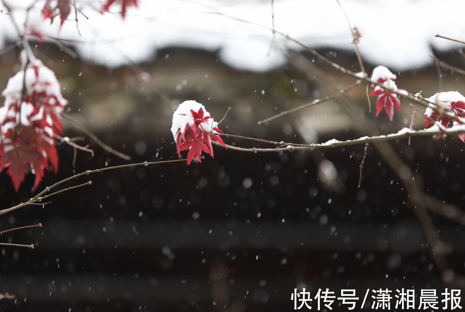 李姝|浪漫黄龙洞：姑娘穿民族服饰雪中起舞