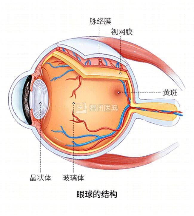  职场健康/28岁男子躺床上玩手机，差点瞎了一只眼