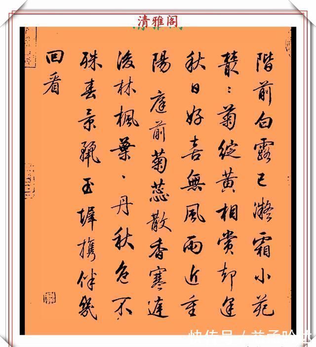 张即之#清代行书的巅峰作品,承袭王羲之笔法,而又独具风格,真书法品鉴