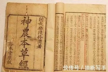 神农本草经|读本草经典,温故知新,中医不是太落后,而是太先进了!