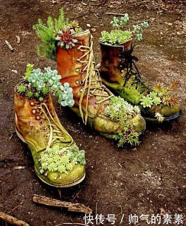 只要脑洞够，万物皆可花盆