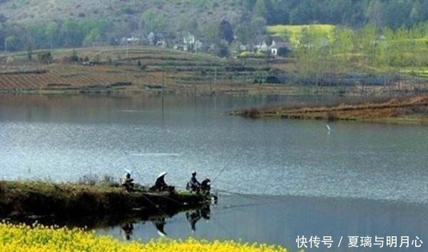 钓鱼|野钓如何才能多钓几条鱼避免这些野钓的禁忌,收获能翻倍!