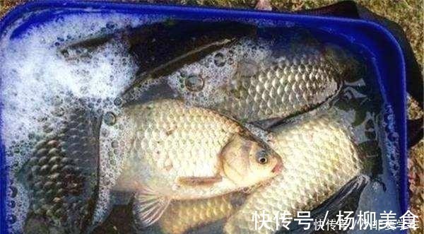 野钓鲫鱼为何全是送漂,黑漂和钝口很少道理很简单!