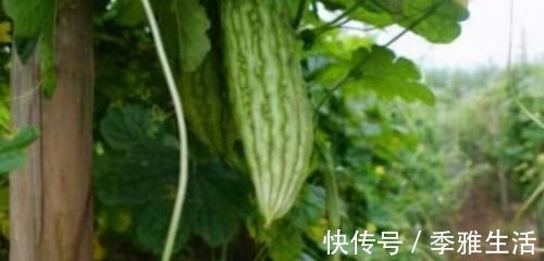 养肝护肝|聪明人喜欢吃3种食物，美容养颜，帮助抗衰，改善皮肤的气色