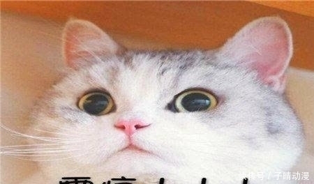 |幽默笑话:表嫂要把她妹子介绍给我,我一听就屁颠屁颠的去了