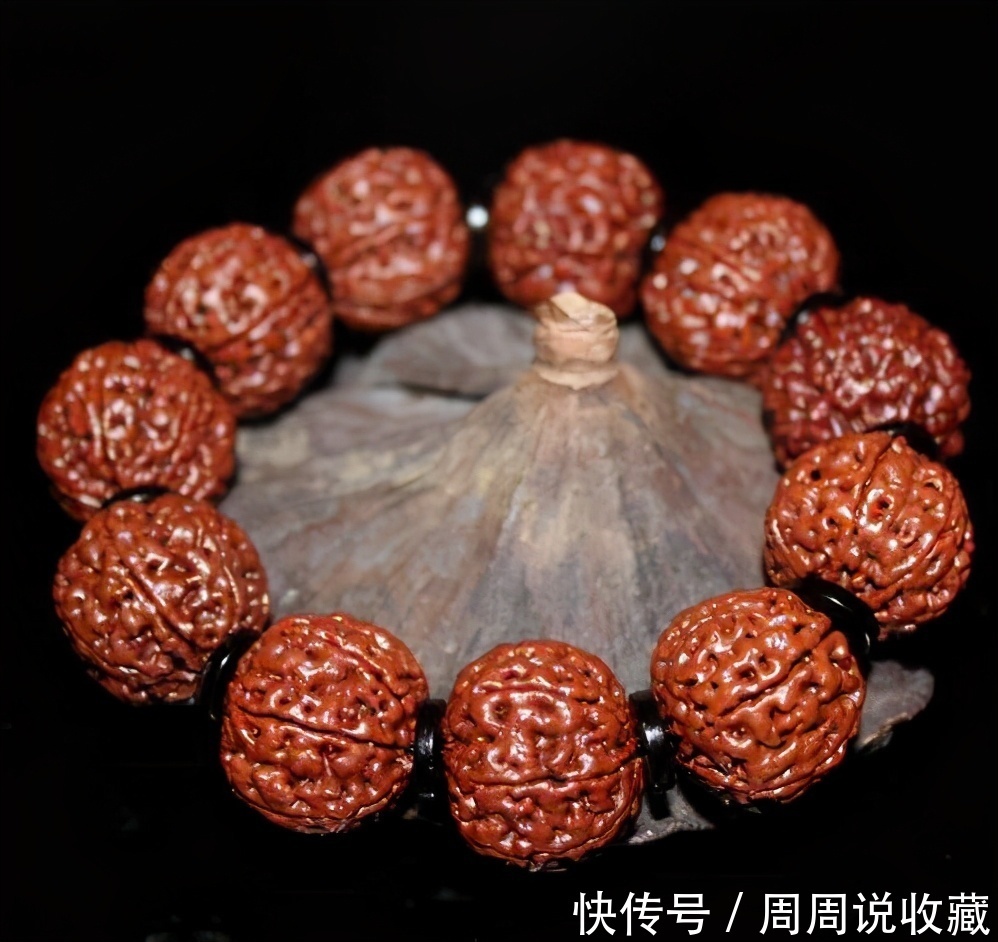 菩提|新手想买串金刚菩提需要注意什么?金刚菩提可以用大汗泡吗?