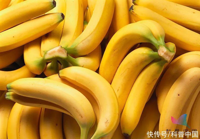 食物|5种食物是"失眠帮凶",睡前最好少碰!但这些"助眠高手"可以常吃