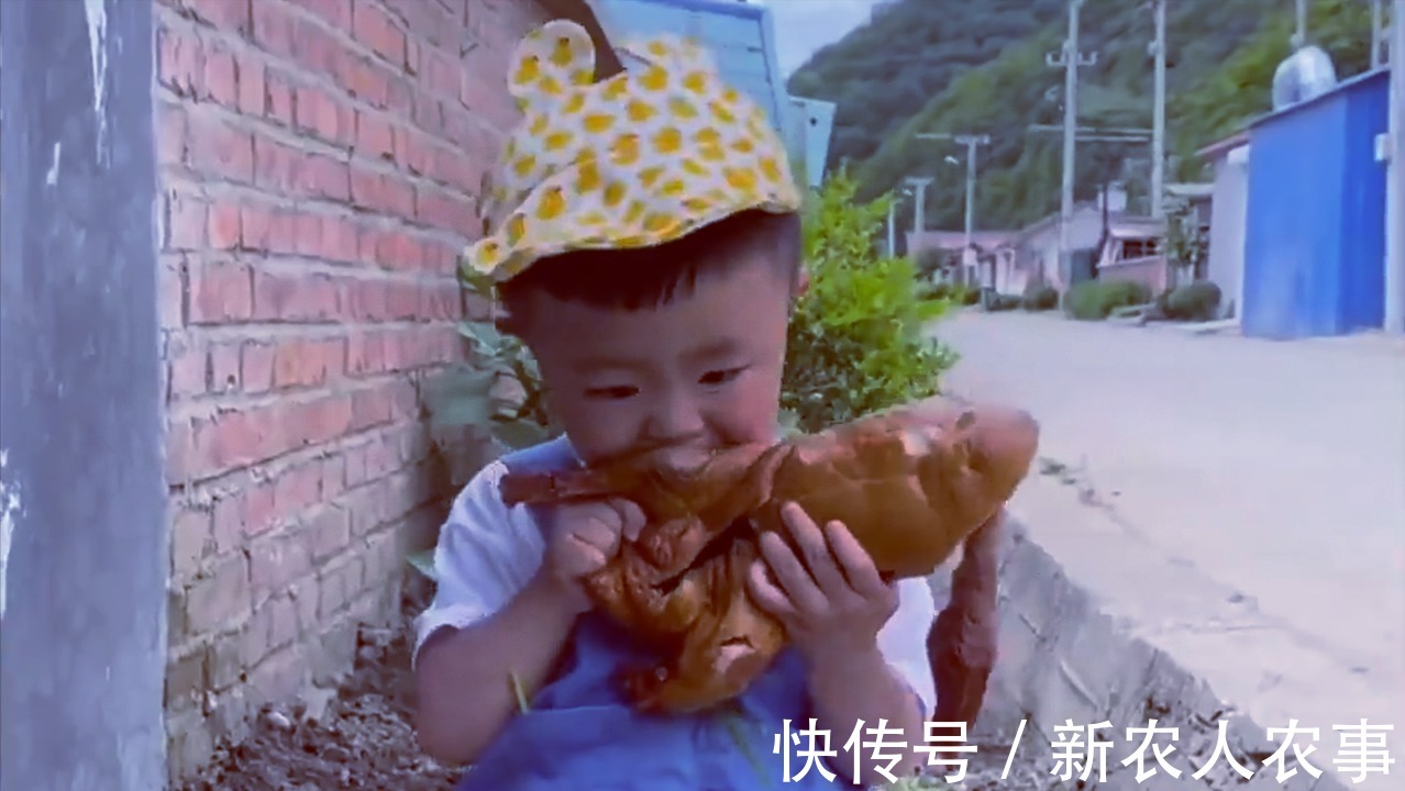 萌娃|萌娃回农村过暑假,彻底放飞自我成“鸭霸”,回到城里后却郁闷了
