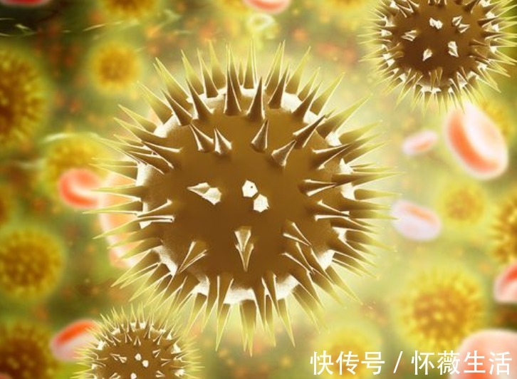 氨基酸|1叶子了不得！全身是宝！护肝脏、降血脂、降压、预防血栓和癌变