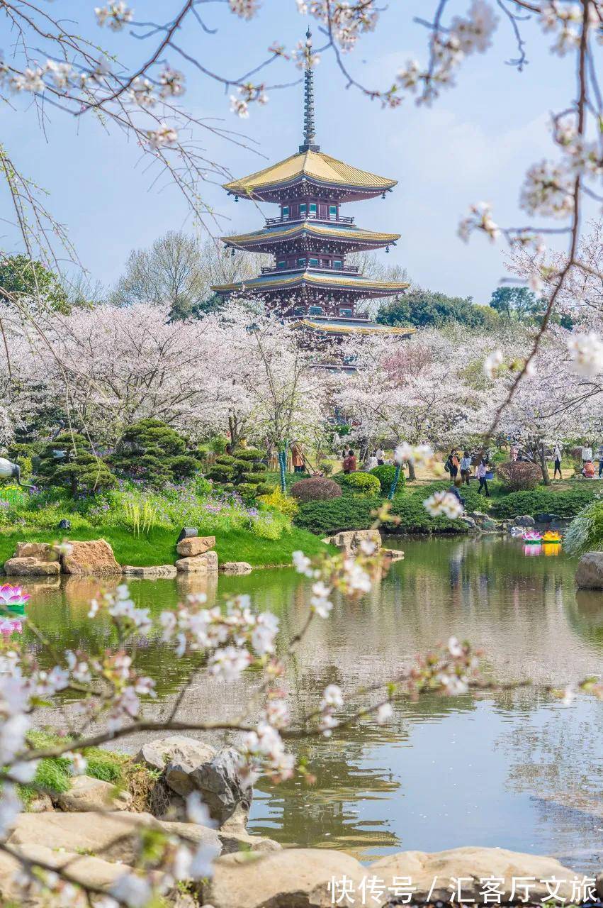 小火车|再过30天,世界又要被惊艳了!因为,中国的春天到了