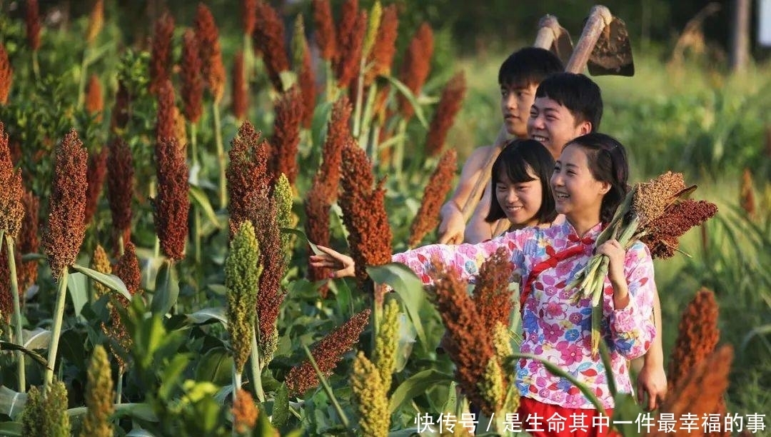 长寿这个被称为川渝“最美文旅小镇”的地方，到底有多美？周末赶紧去看看......