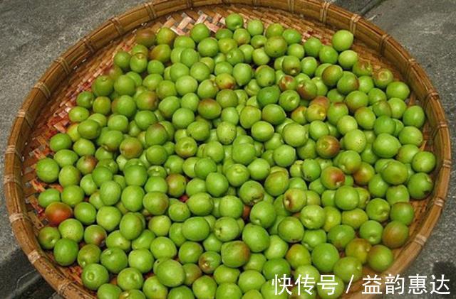 梅子|梅子醋怎么做？大叔只需两步就搞定，酸爽开胃，做一次能管一年~