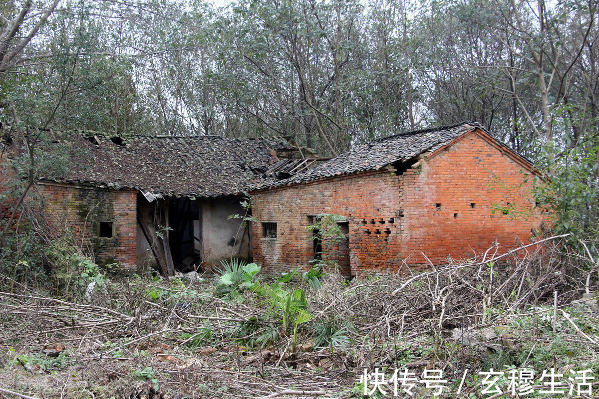 城镇|声明农村宅基地属私有产权，子女可凭继承，但建新需八步骤审核