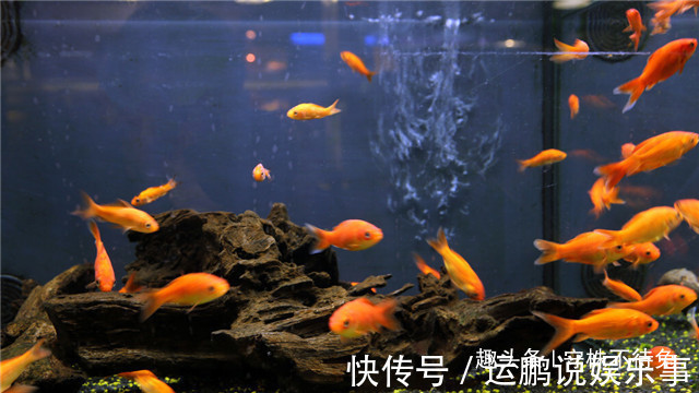 26个冷知识：书本上不会有，但却真实存在着