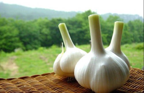 三類人不宜食用大蒜