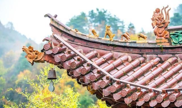 净土寺|西北最值得去的寺庙之一，藏在深山老林处，风景美得不食人间烟火