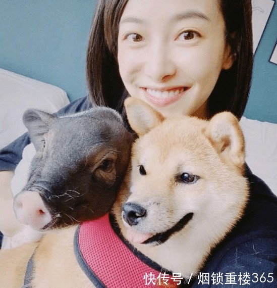 猪小八|《向往的生活》被领养的狗怎么样了看清宋茜的晒照热泪盈眶！