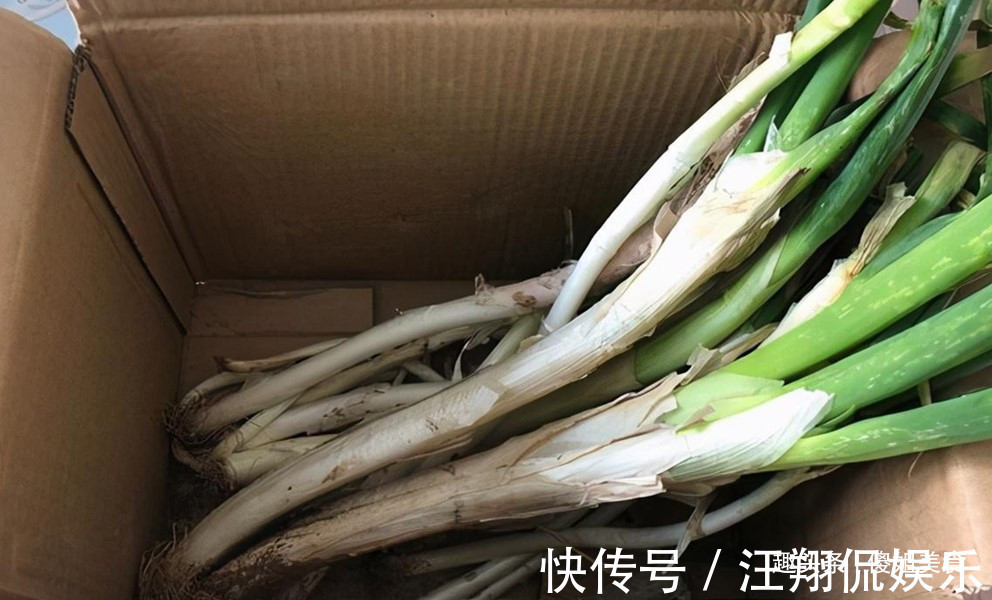 原来保存大葱一点也不难,不烂不空心,放半年不坏,冬天随吃随取