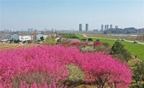 中年|花靓郊野引人来