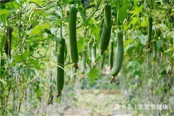 毒素|中秋节过后,多吃3种蔬菜,排出体内毒素,减少皱纹,好吃又营养