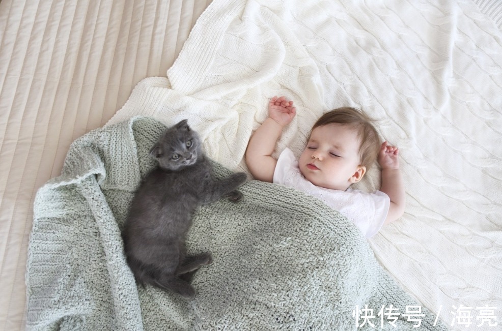 睡眠质量|学谷爱凌每天睡10个小时,会怎样?答案可能出乎你的意料!