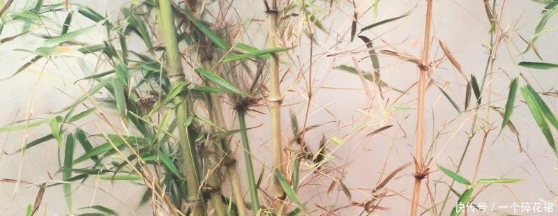 竹子|冷军 用油画来画竹, 我是第一人! 作品价格超越郑板桥!